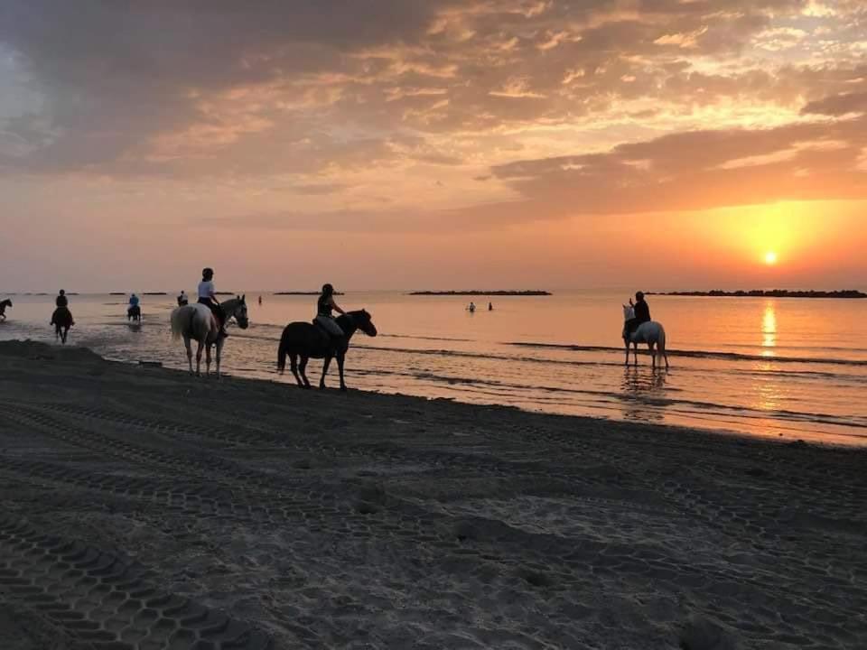 Villa Demi Lido di Pomposa Eksteriør bilde